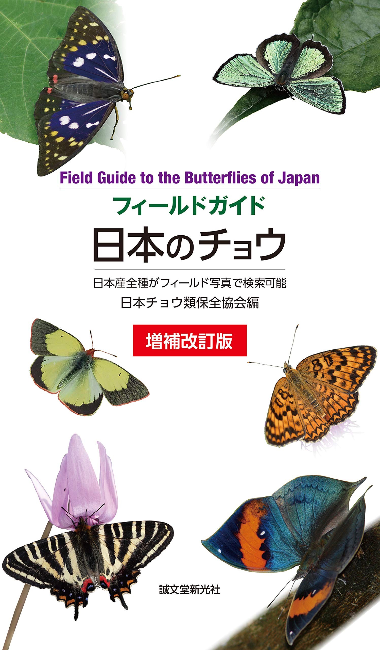 フィールドガイド日本のチョウ　本の画像