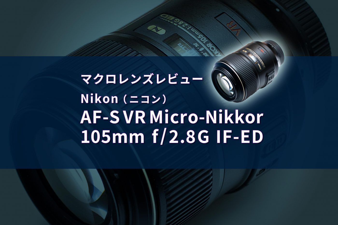 マクロレンズの昆虫写真レビュー】Nikon（ニコン） AF-S VR Micro ...