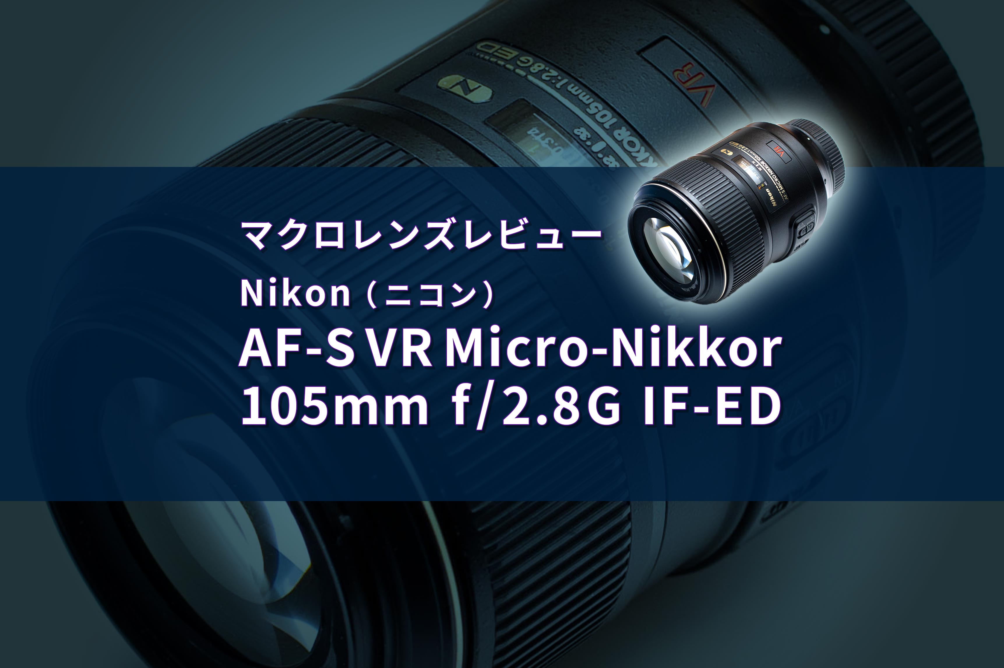 マクロレンズの昆虫写真レビュー】Nikon（ニコン） AF-S VR Micro
