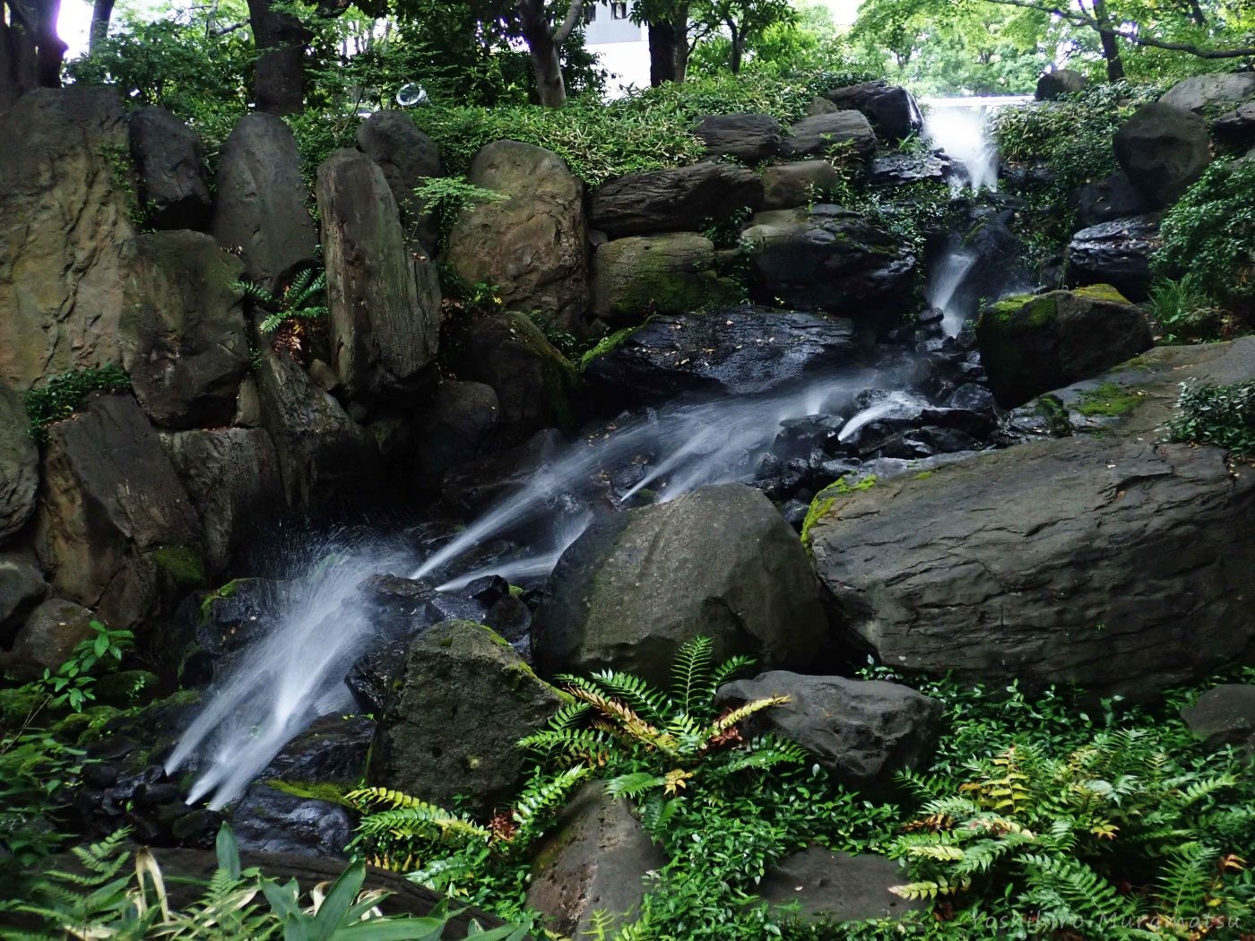 ホタル　新梅田シティ「中自然の森」