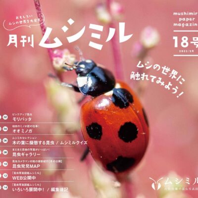 月刊ムシミル18号アイキャッチ画像