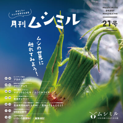 月刊ムシミル21号画像