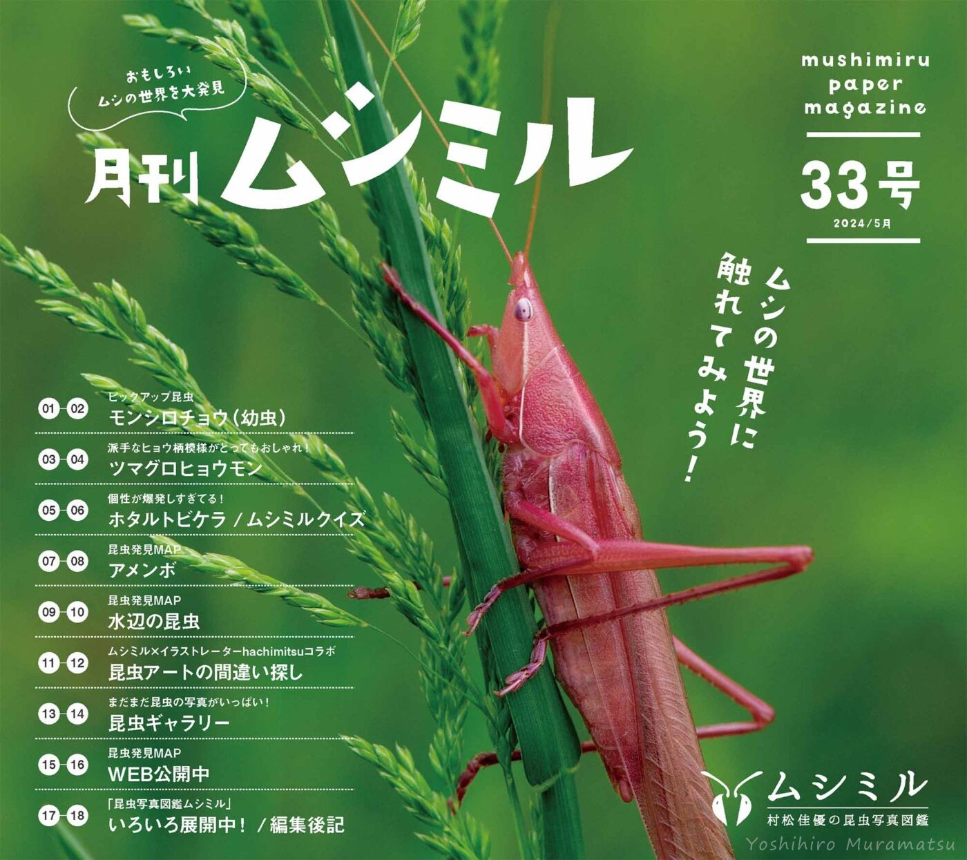 ic_mushimiru33_LINE-1400x1245.jpg