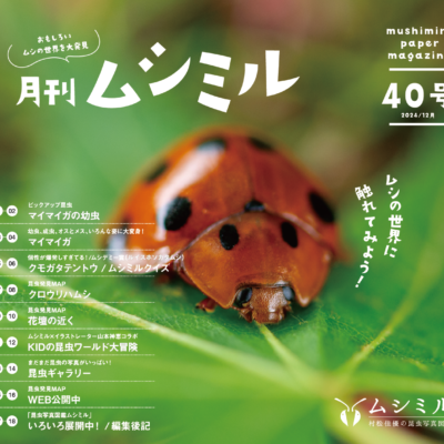 月刊ムシミル40号バナー画像