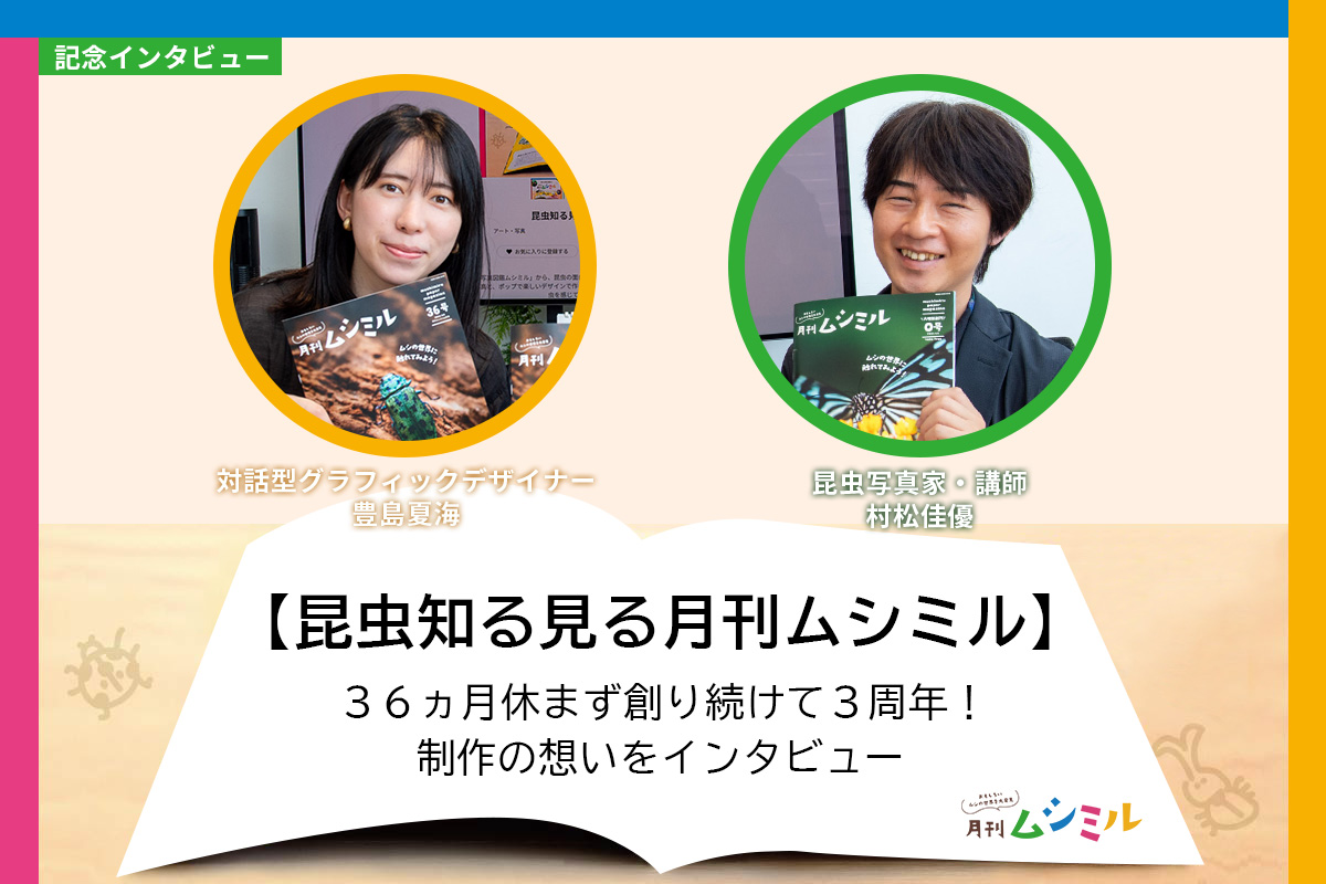 インタビュー記事アイキャッチ画像