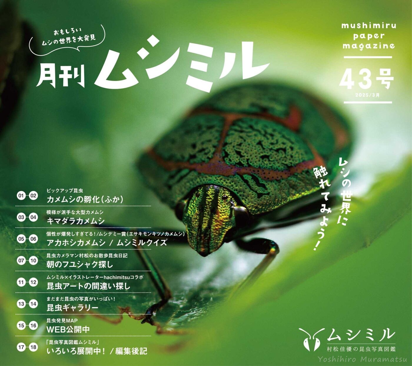43号「月刊ムシミル」昆虫クイズの解説&間違い探しの解答 | 昆虫写真