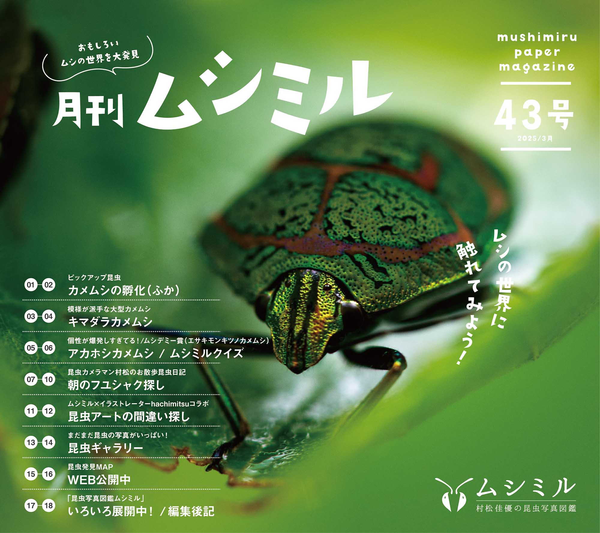月刊ムシミル43号バナー画像