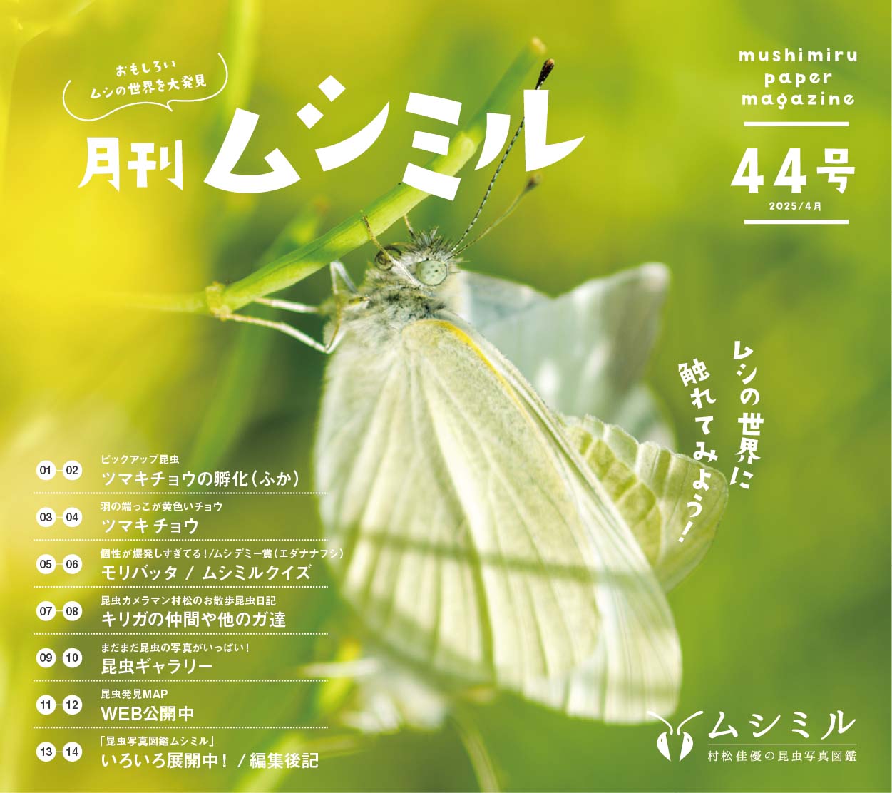 月刊ムシミル44号バナー