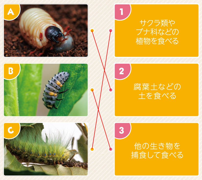 47号クイズ解答画像