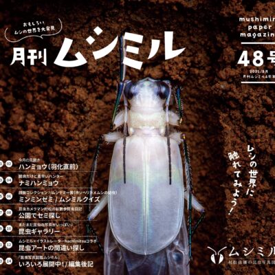月刊ムシミル48号バナー画像