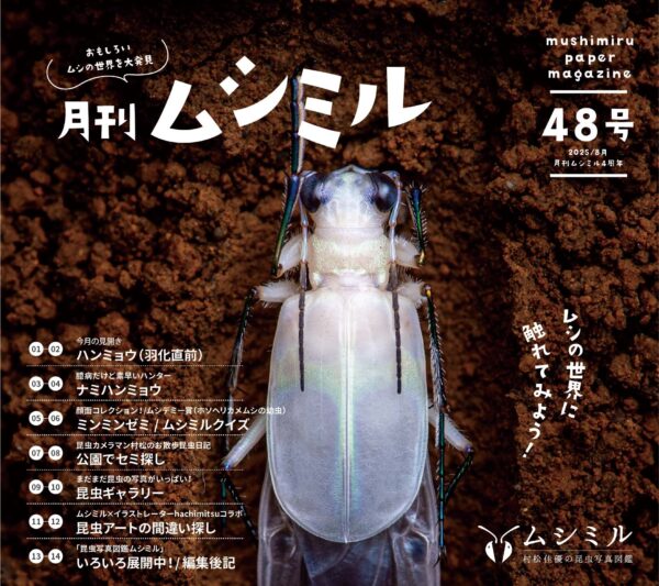月刊ムシミル48号バナー画像