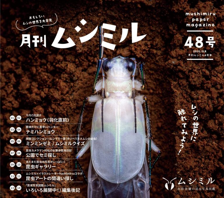月刊ムシミル48号バナー画像