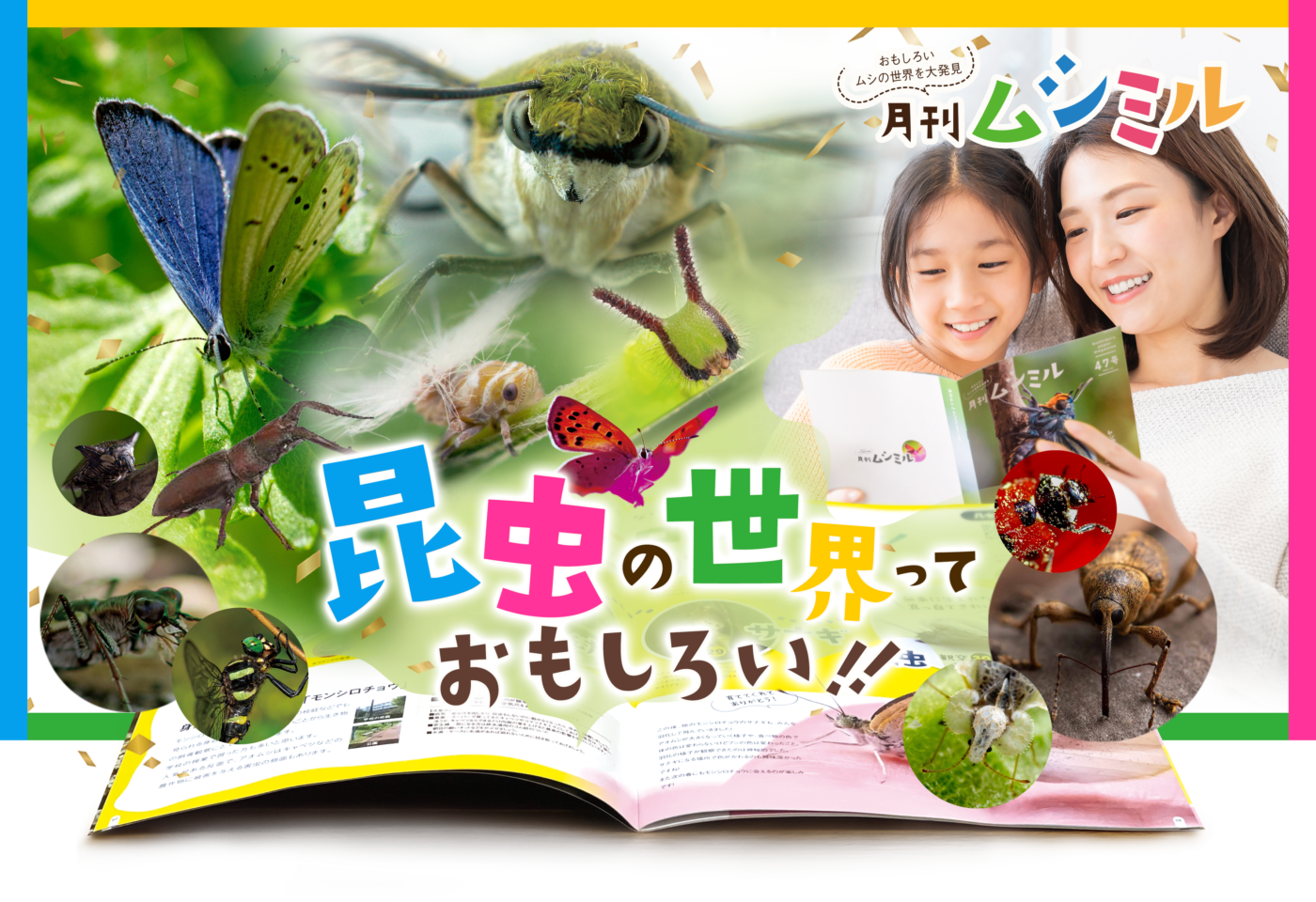 LPメイン画像