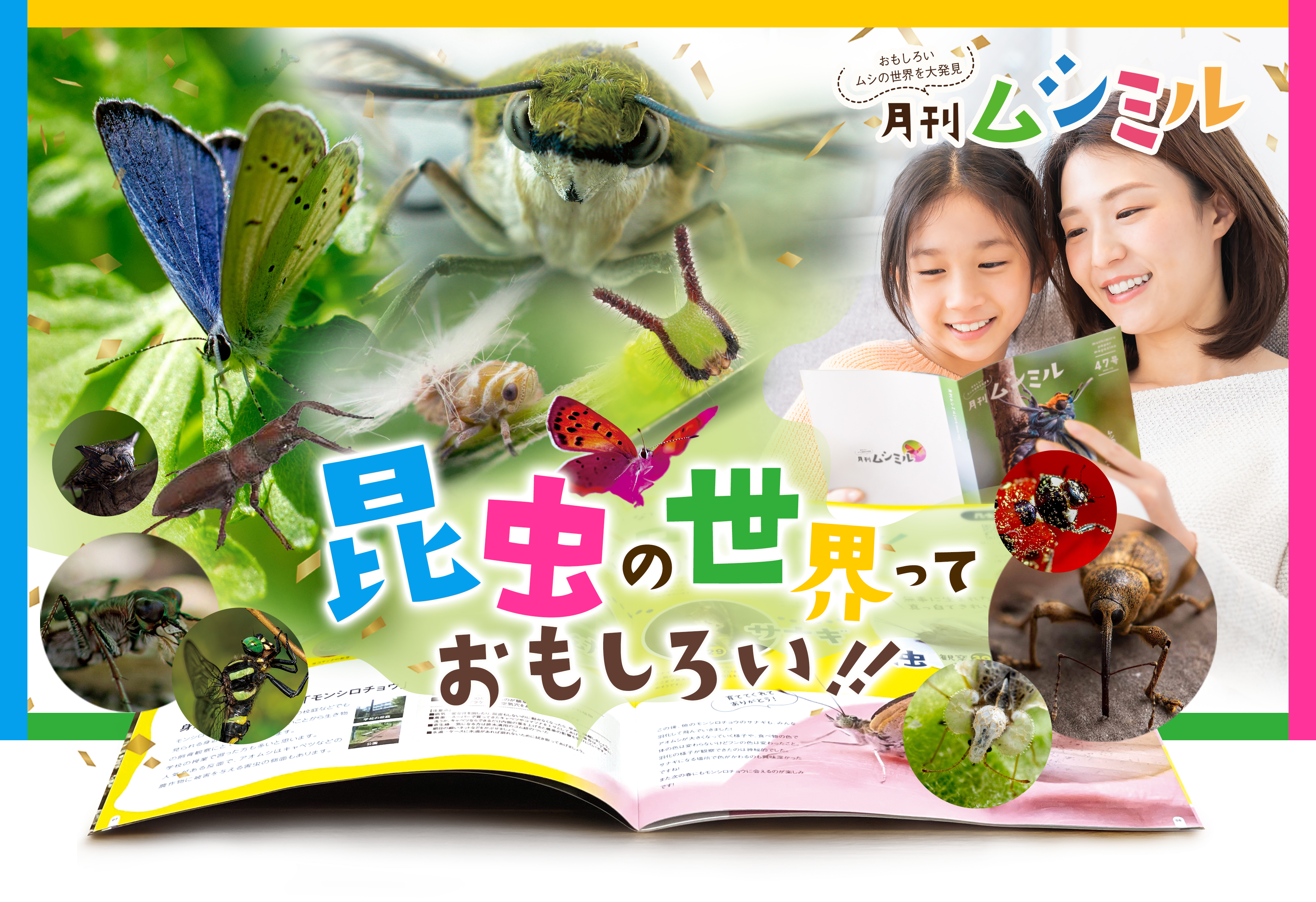 ここだけの昆虫の世界「月刊ムシミル」 キャンプファイヤー