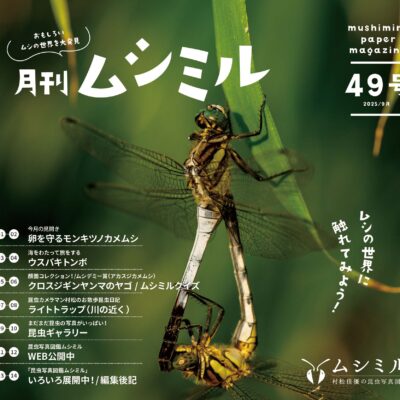 月刊ムシミル49号バナー画像