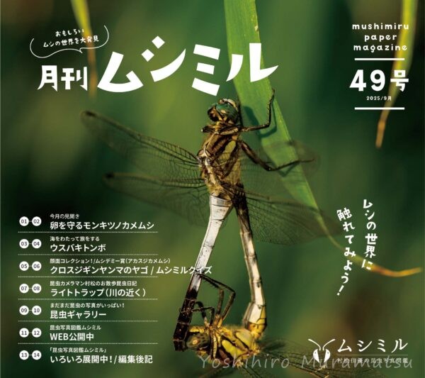 月刊ムシミル49号バナー画像