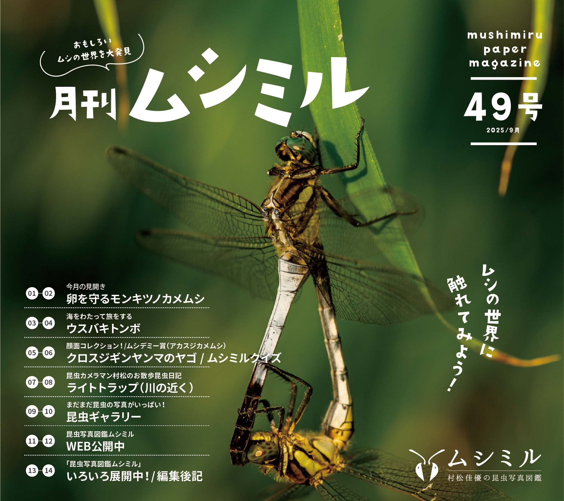 49号「月刊ムシミル」昆虫クイズの解説 | 昆虫写真図鑑 ムシミル