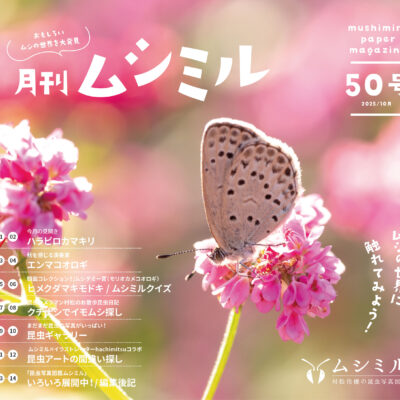 月刊ムシミル50号バナー画像