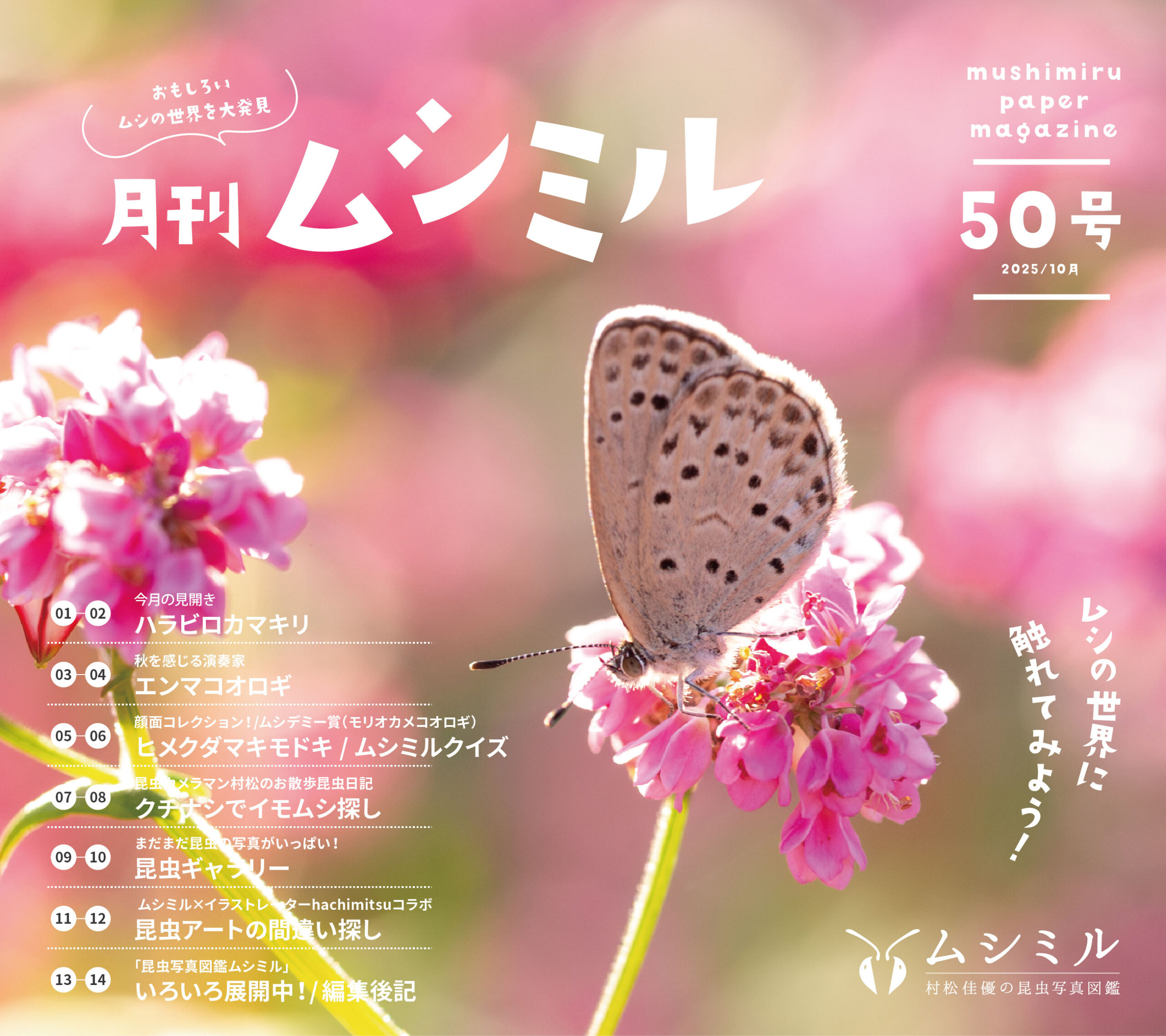 50号「月刊ムシミル」昆虫クイズの解説&間違い探しの解答 | 昆虫写真