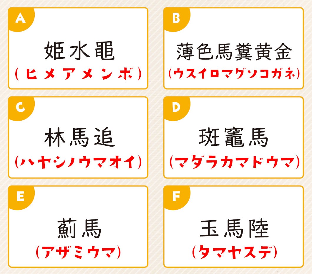 53号クイズ解答画像