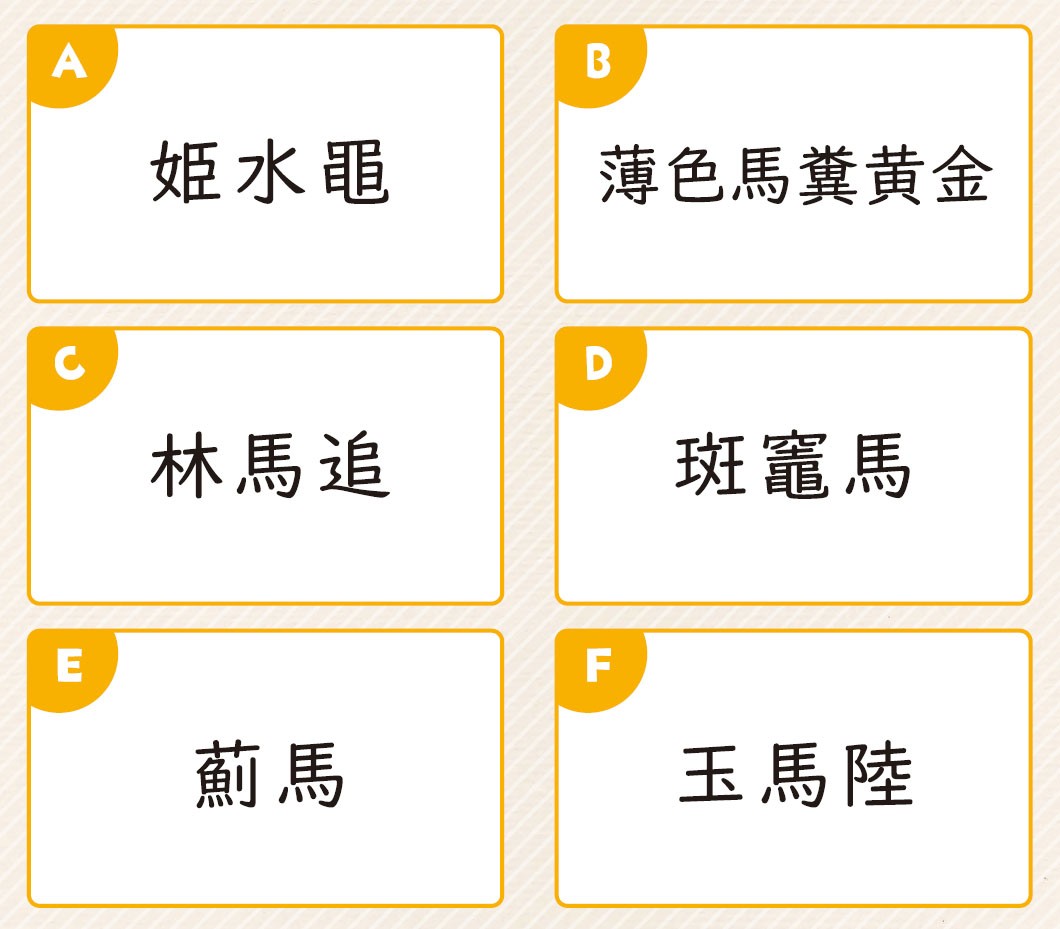 53号クイズ画像