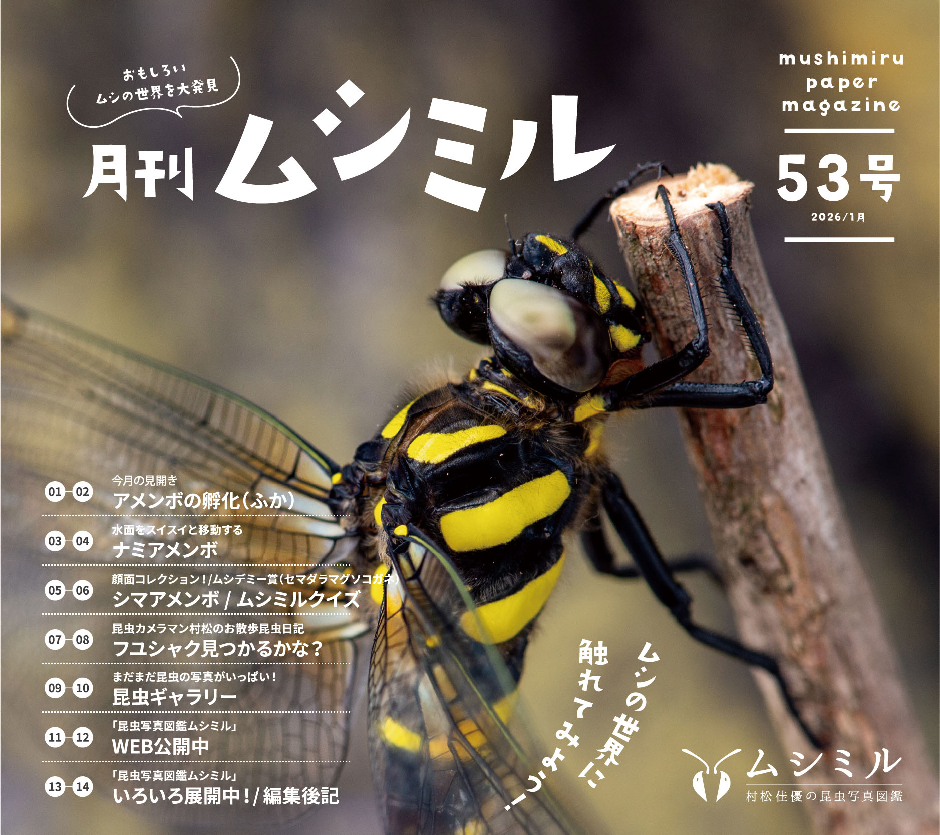 月刊ムシミル53号画像