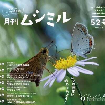 月刊ムシミル54号の画像
