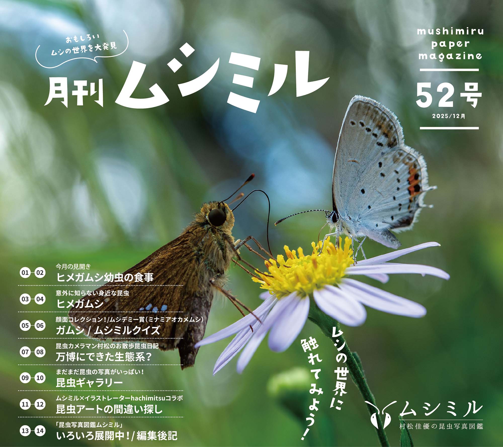 月刊ムシミル54号の画像