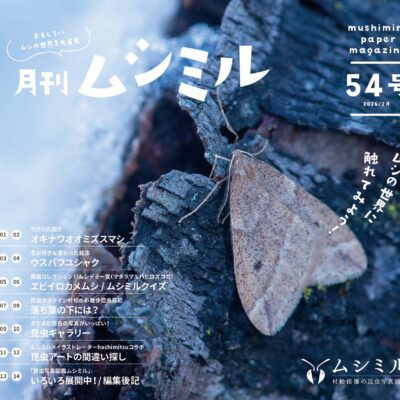 月刊ムシミル54号の画像