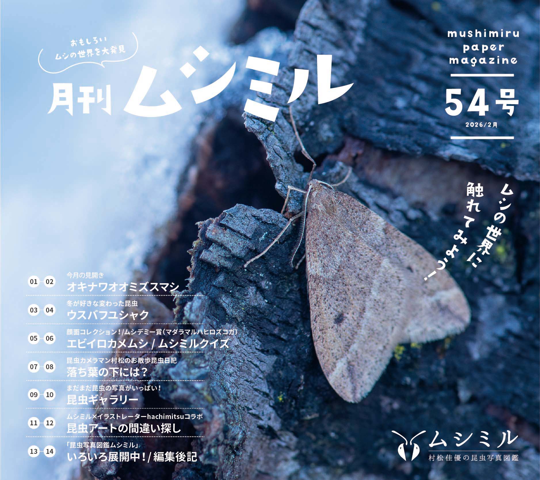 月刊ムシミル54号の画像