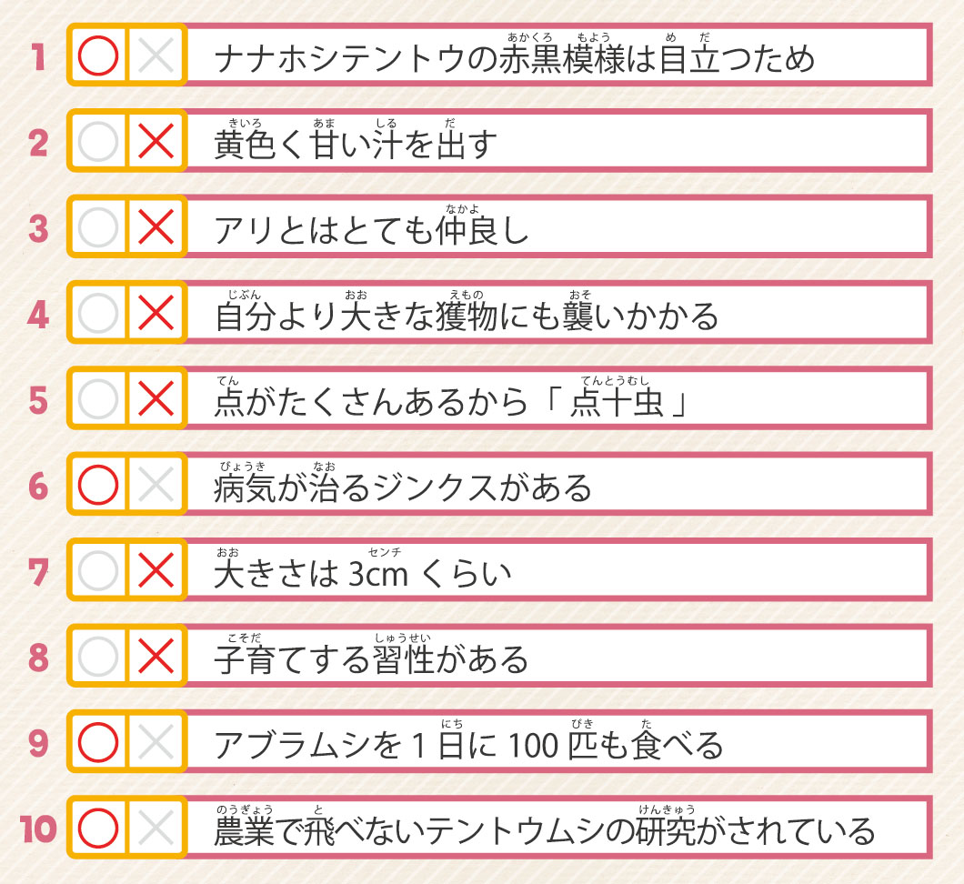 55号クイズ解答の画像