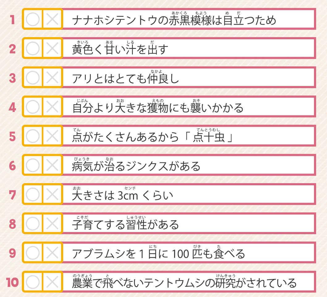 55号クイズ画像