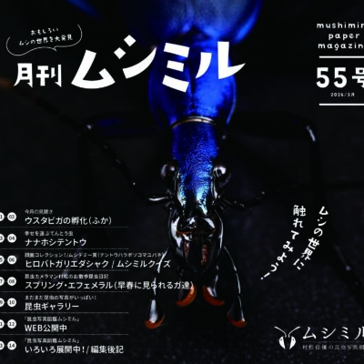 月刊ムシミル55号の画像
