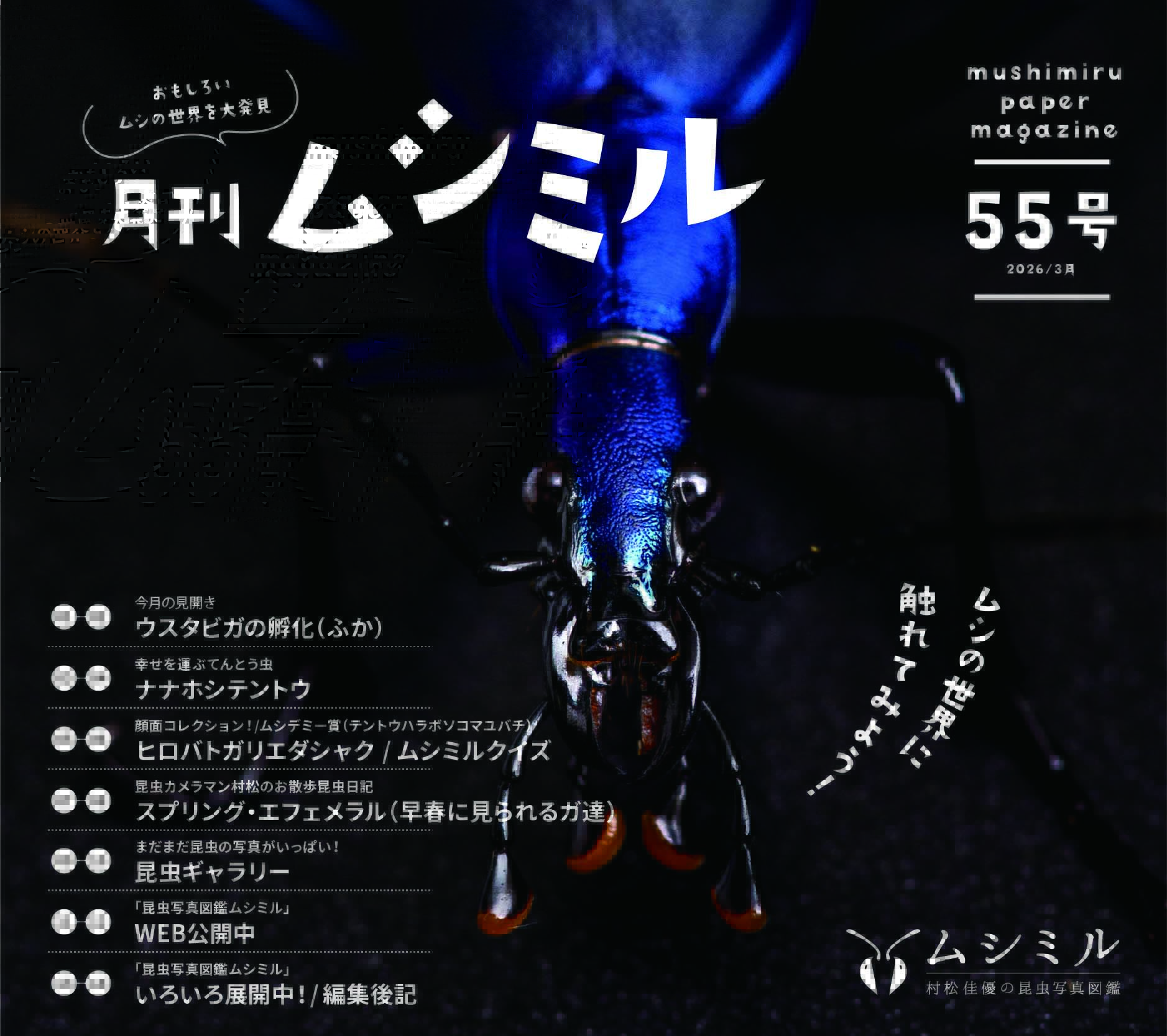 月刊ムシミル55号の画像