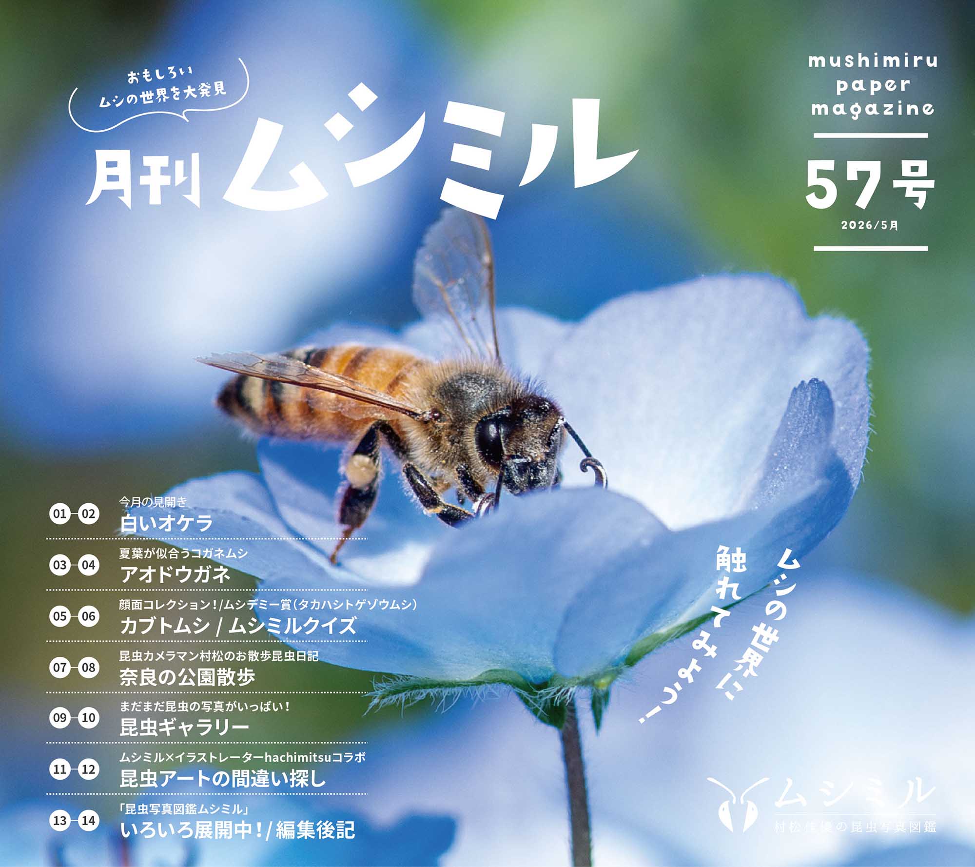 57号「月刊ムシミル」昆虫クイズの解説&間違い探しの解答 | 昆虫写真