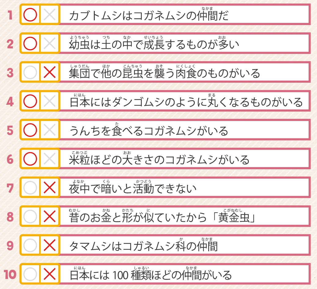 57号クイズ解答画像