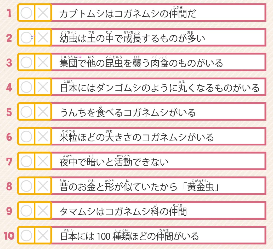 57号クイズ画像