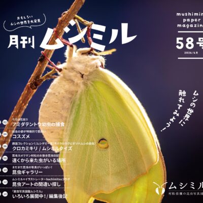 月刊ムシミル58号表紙画像