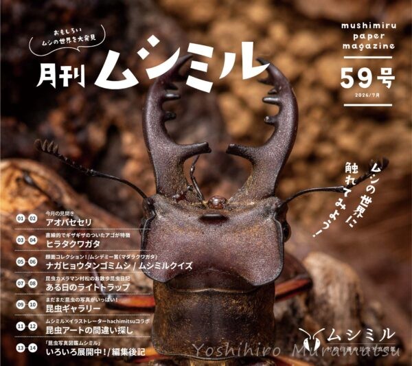 月刊ムシミル59号表紙画像