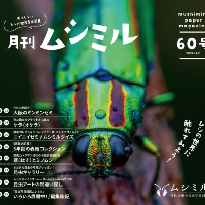 月刊ムシミル60号表紙画像