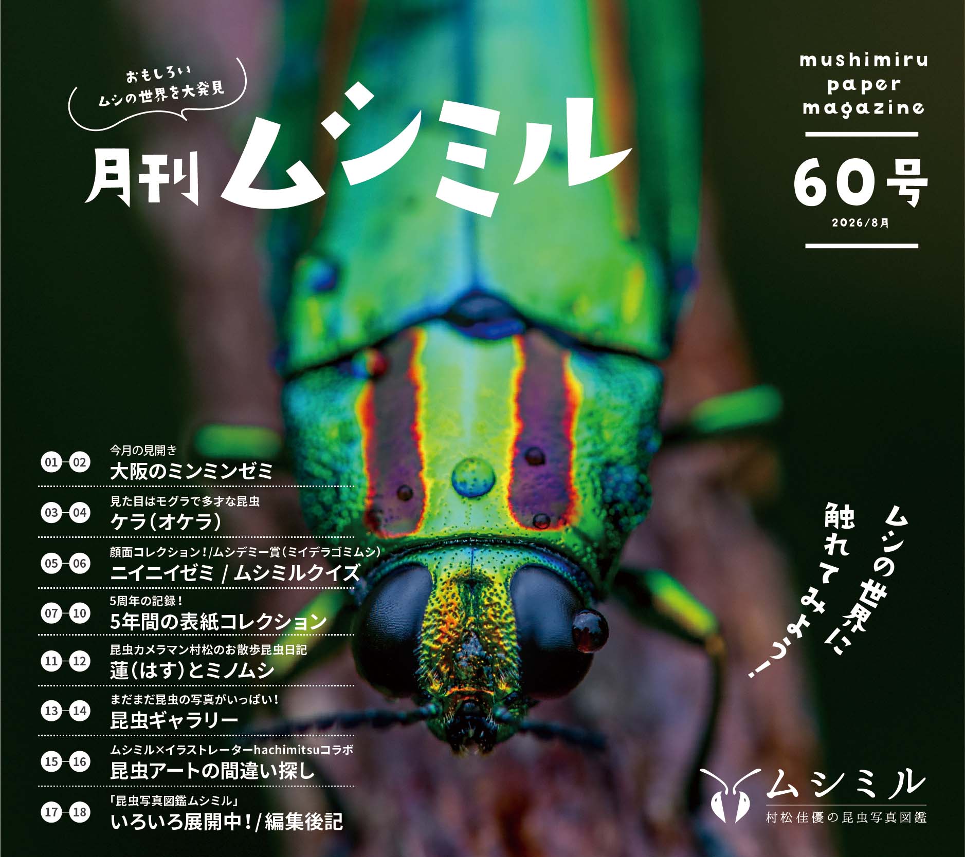 60号「月刊ムシミル」昆虫クイズの解説&間違い探しの解答 | 昆虫写真