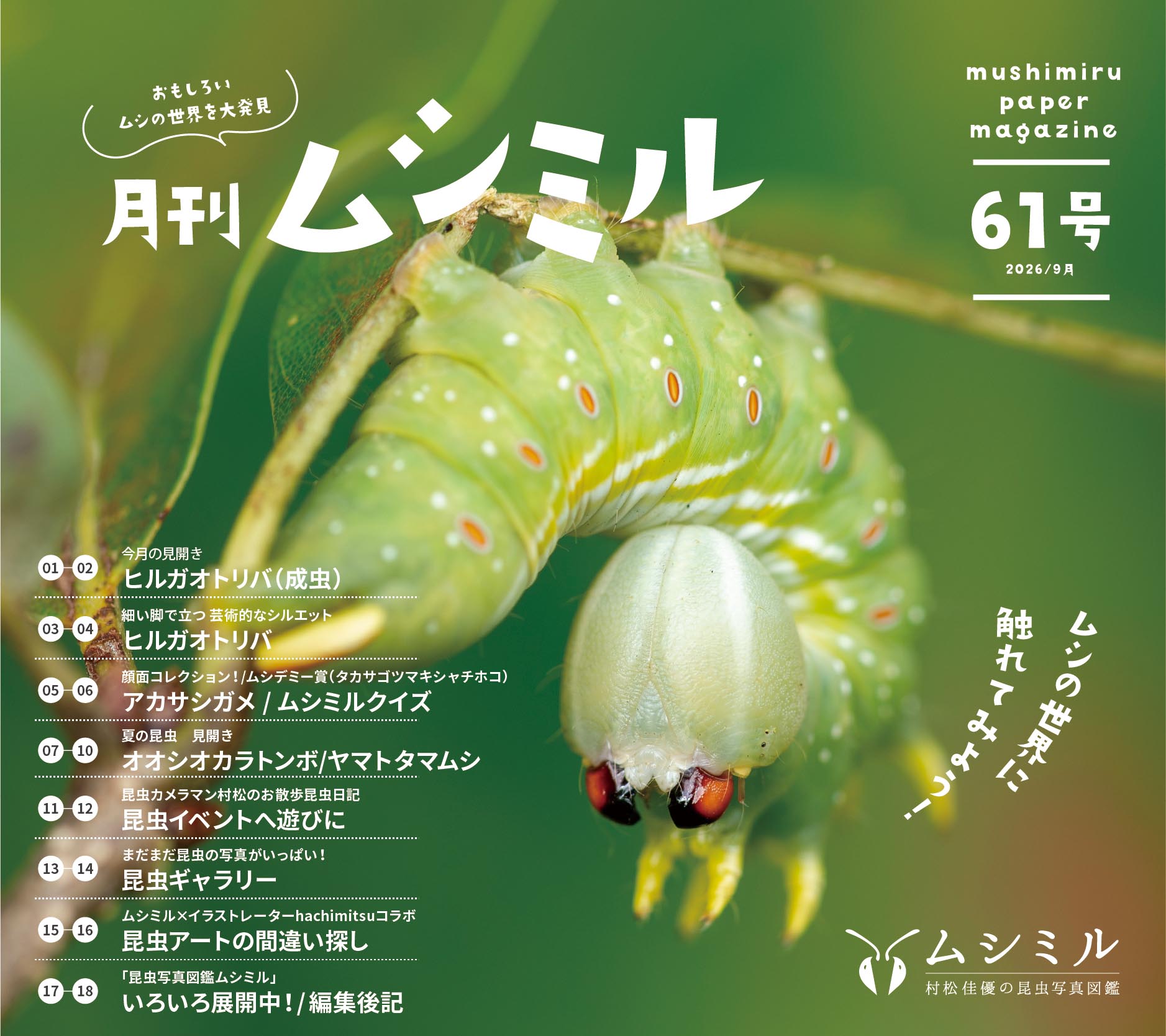 月刊ムシミル61号アイキャッチ画像
